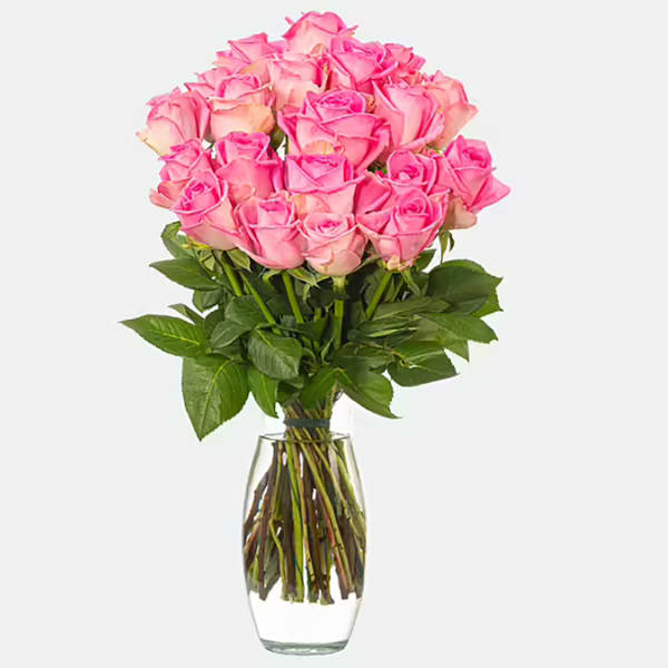 Bunch Of 20 Pink Fairtrade Roses With Vase