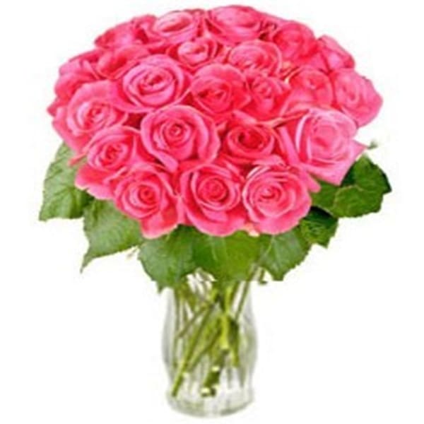 Bunch of Pink Roses Rosy Reveries (without vase)