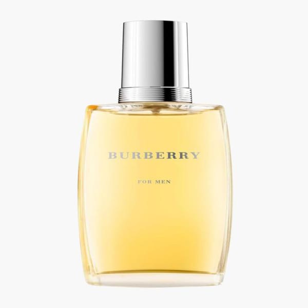 Burberry Pour Homme Men's Perfume - 100 ML