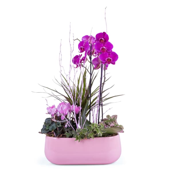 Centrepiece of plants in pink shades