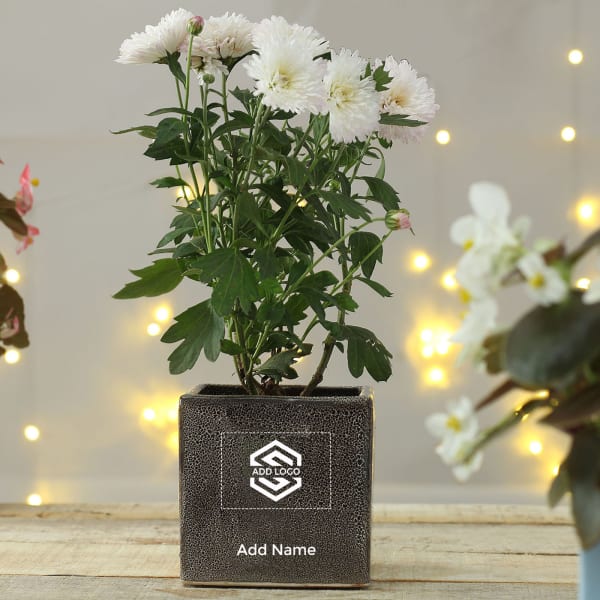 Ceramic Planter - Customizable with Logo and Name