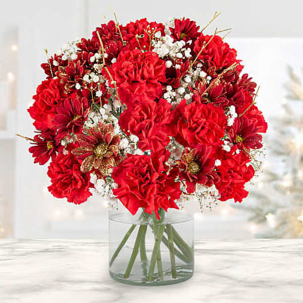 Christmas Red Carnation And Chrysanthemum Arrangement