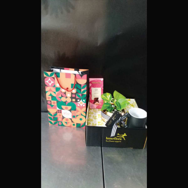 Combo Hamper (Aditya Birla Finance Limited)