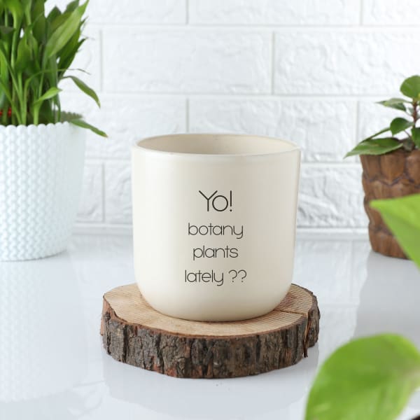 Cool And Punny Ceramic Planter - Without Plant