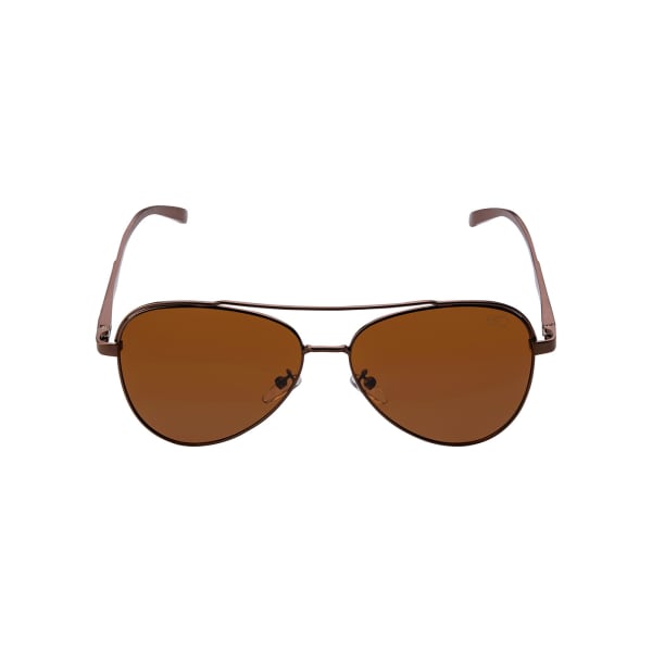 Cool Brown Aviator Sunglasses
