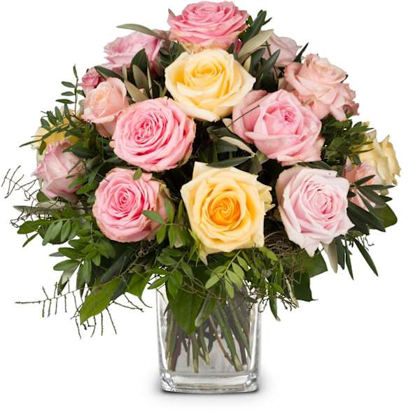 Cordial Rose Greeting
