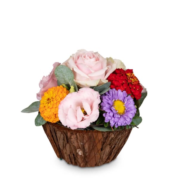 Buy/Send Cute flower greeting Online IGP NID1316684
