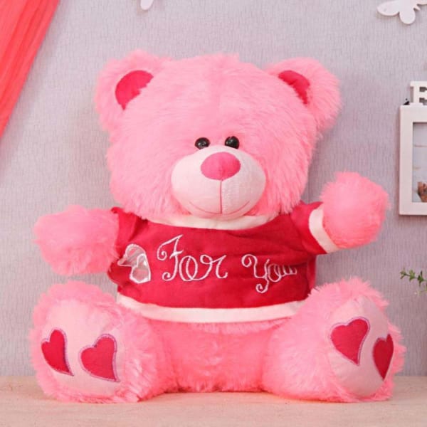 cute teddy bear online shopping