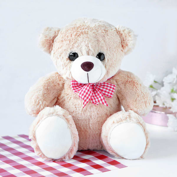 Cute Teddy (12-Inch)