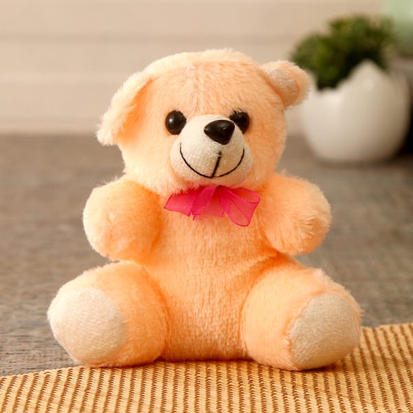 teddy gift online