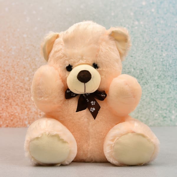 cute teddy with chocolate