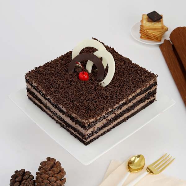 Delectable Chocolate Cream Cake