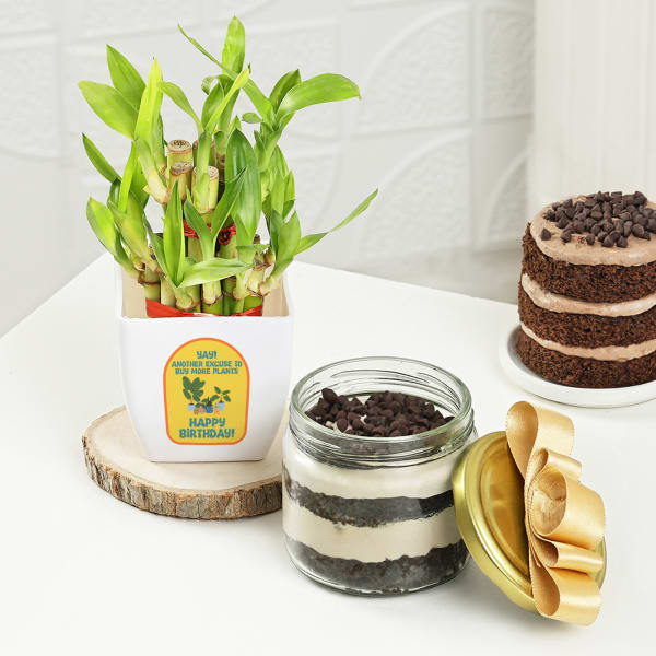 Delectable Chocolate Jar Cake With Two-Layered Bamboo Plant