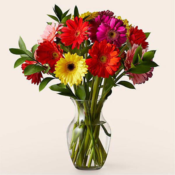 Deluxe Sunkissed Gerbera Bouquet With Vase