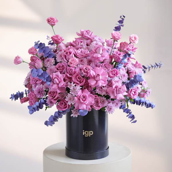 Dreaming of Lilac