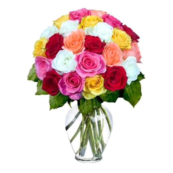 Elegant Bunch of 24 Roses in Assorted Colors