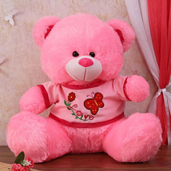 hot pink teddy bear