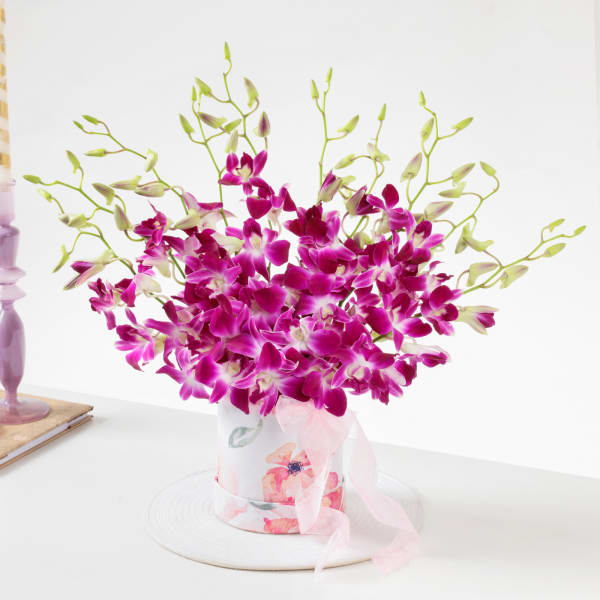 Enchanting Purple Orchid Arrangement