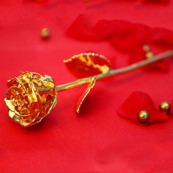 Image result for Send A Golden Rose