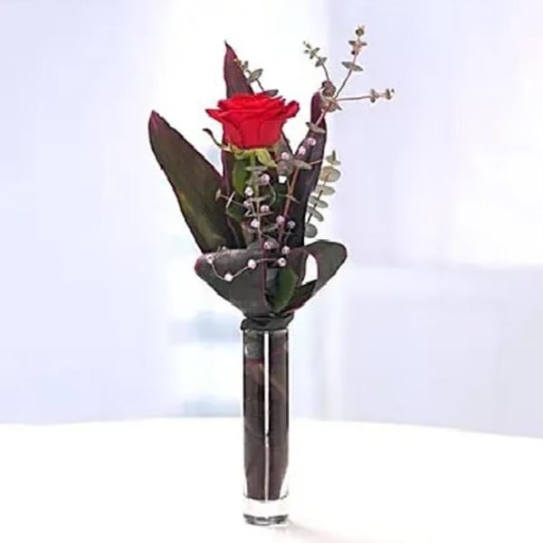 Eternal Vase with a Rose