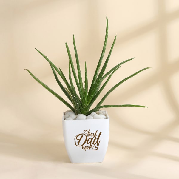 Father's Day Best Dad Ever Aloe Vera Plant