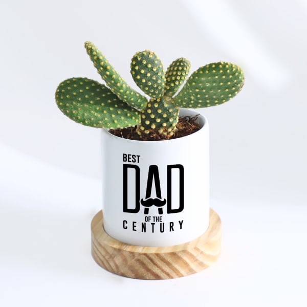 Father's Day Dad Of The Century Rabbit Cactus With Planter