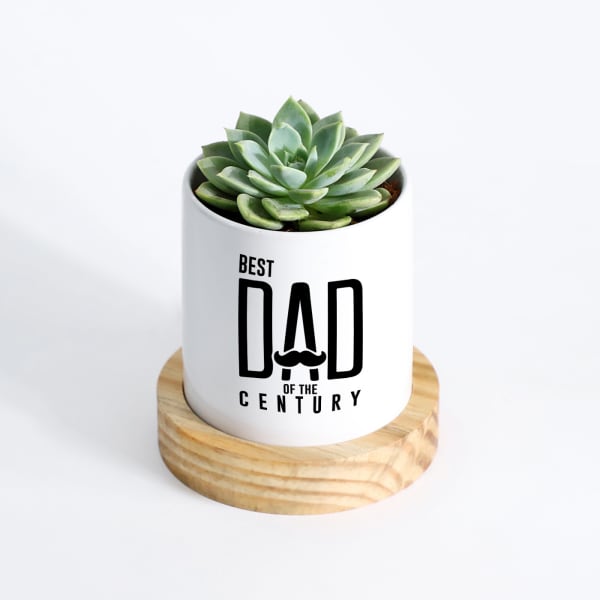 Father's Day Dad Of The Century Spica Succulent With Planter