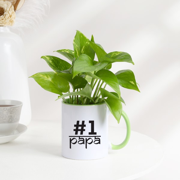 Father's Day No 1 Papa Money Plant In A Mug