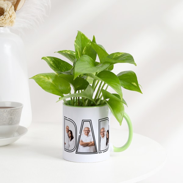 Father's Day Personalized Money Plant In A Mug