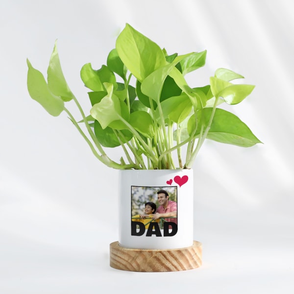 Father's Day Personalized Money Plant With Pot