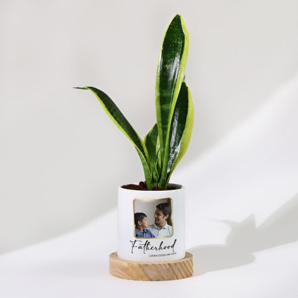 Father's Day Personalized Snake Plant With Pot