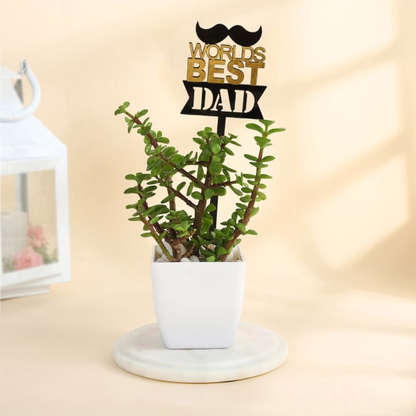 Father's Day World's Best Dad Jade Plant