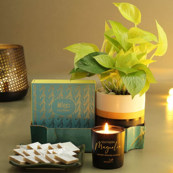 Felicity Diwali Gift Box