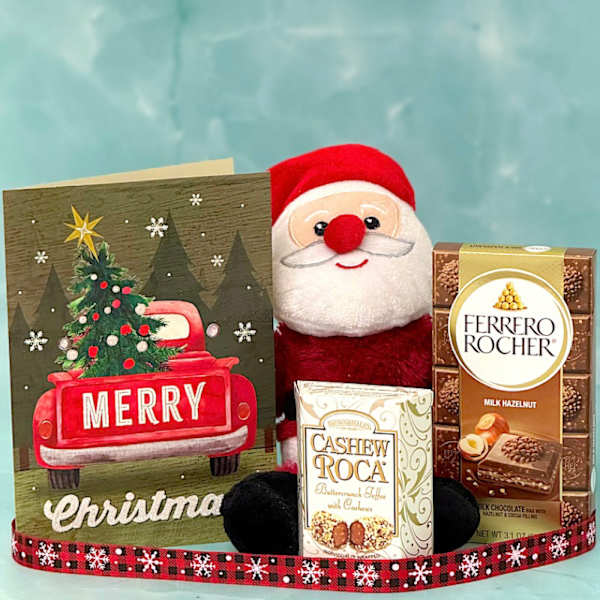 Festive Cheer Santa Hamper