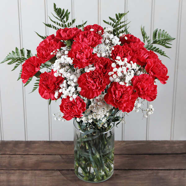 Festive Fusion Red Carnations Christmas Arrangement