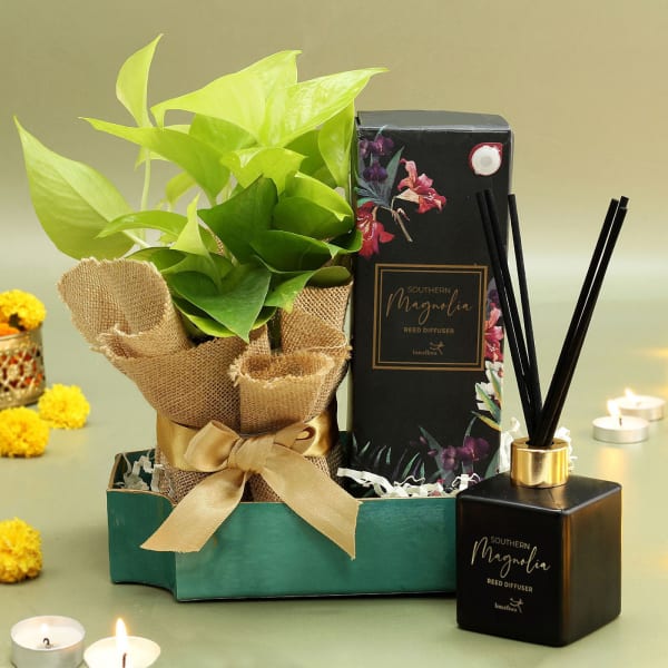 Fortune and Fragrance Gift Hamper for Diwali