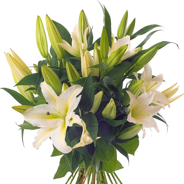 Fragrant White Lily Bouquet