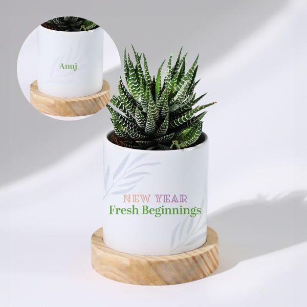 Fresh Beginnings - Haworthia Succulent With Personalized Pot