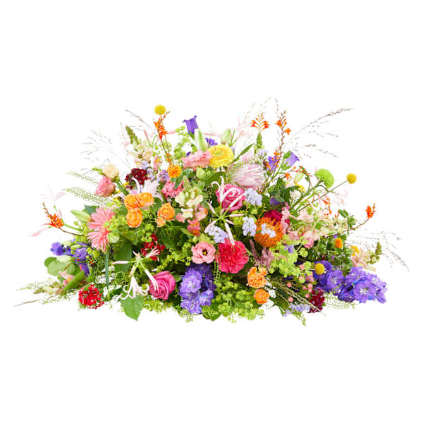 Funeral - Colour splendor