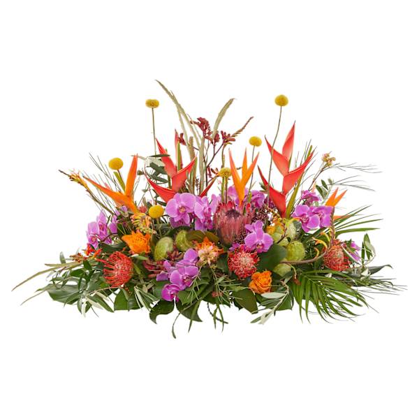 Funeral - Tropical garden
