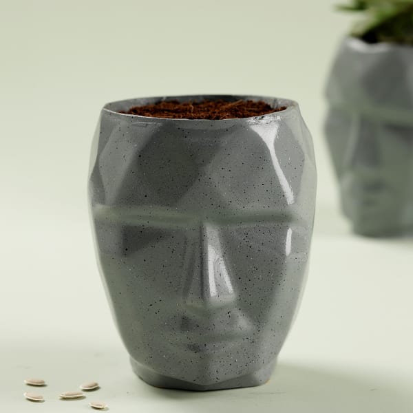 Geometric Face Resin Planter - Without Plant