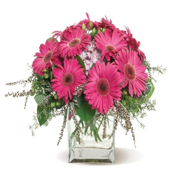 Order Gerbera Glory Glass Vase Arrangement Online at Best Price, Free DeliveryIGP Flowers