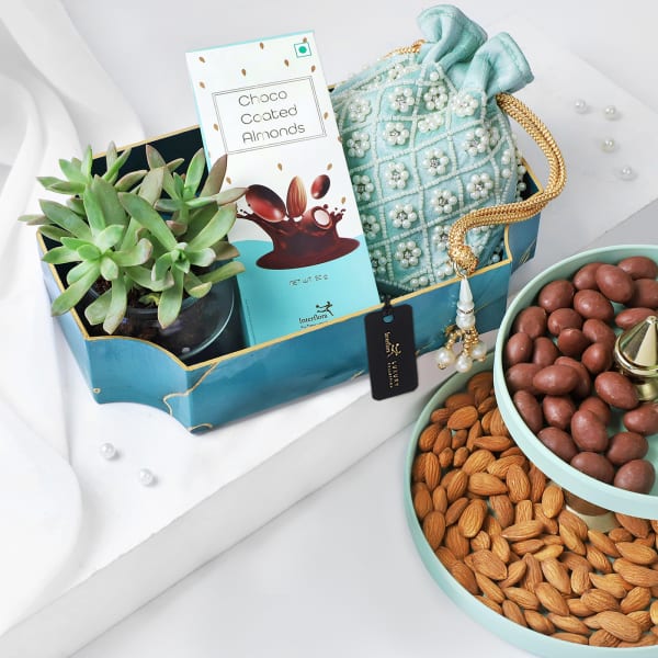 Gift Hamper with Nuts and a Succulent