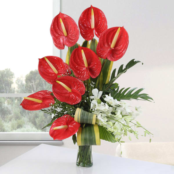 Order Glass Vase Of 8 Red Anthurium With White 4 Orchids Online At