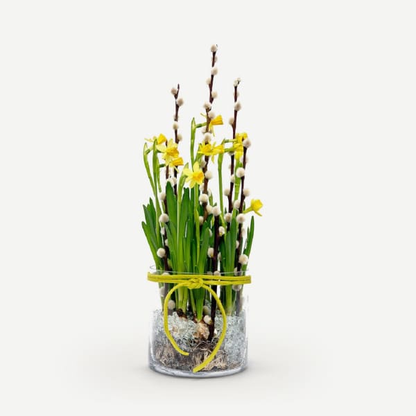 Glassbowl with Daffodils Gift/Send Interflora Gifts Online ID1093357