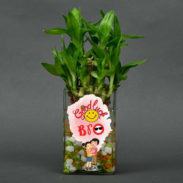 Good Luck Bro Two Layer Customized Bamboo Plant