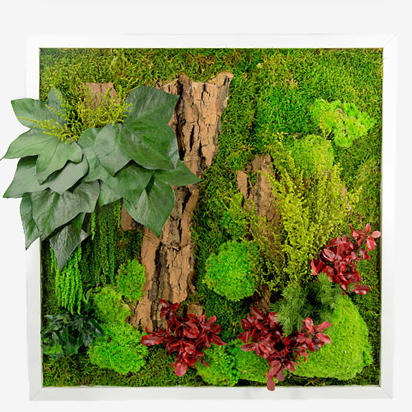 Green Wall with Frame 3