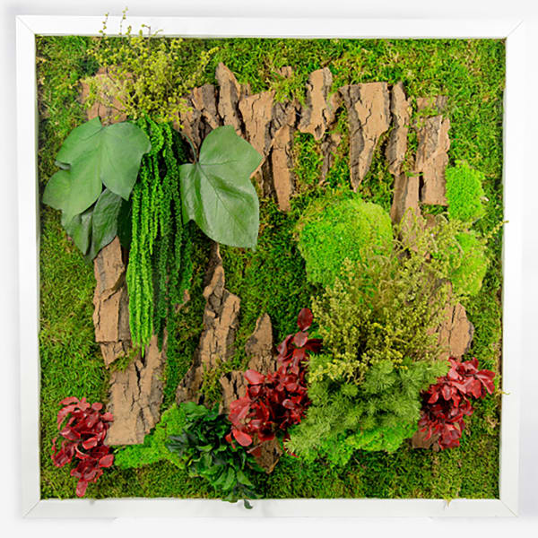Green Wall with Frame 4