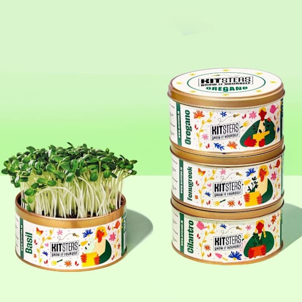 Grow It Yourself Kit - Basil, Cilantro, Fenugreek, Oregano