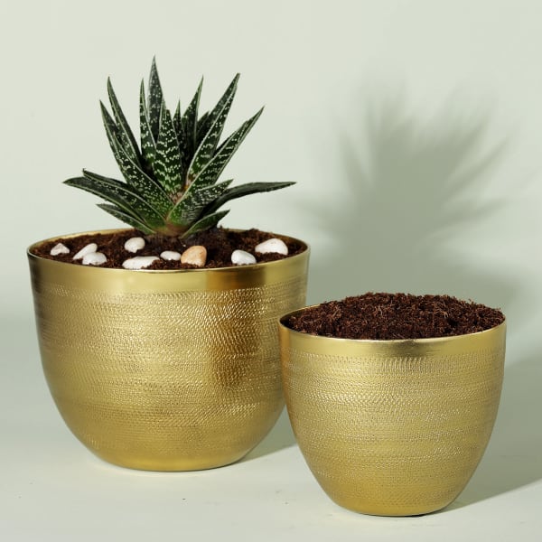 Hammered Metal Bowl Planters (Set of 2) - Without Plant